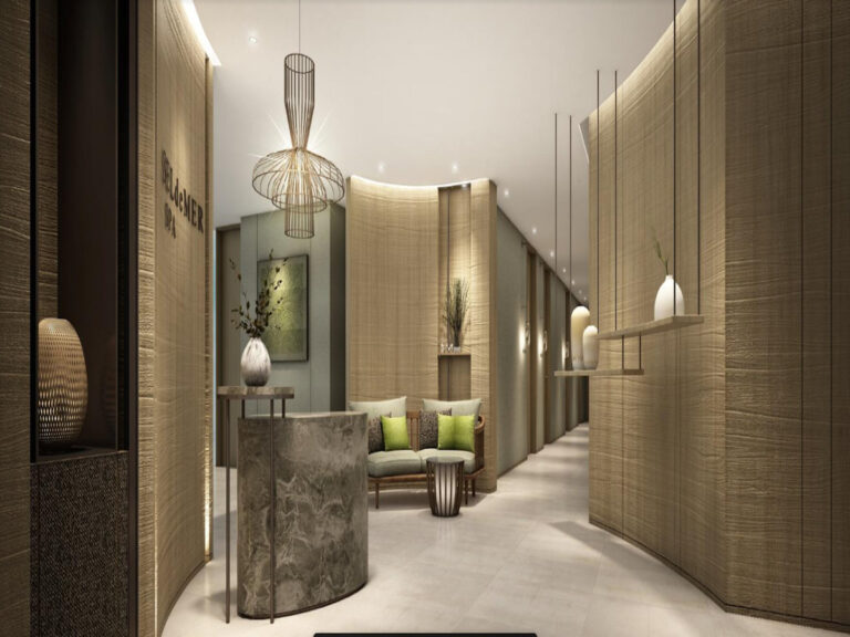 Dự án CT Seldemer